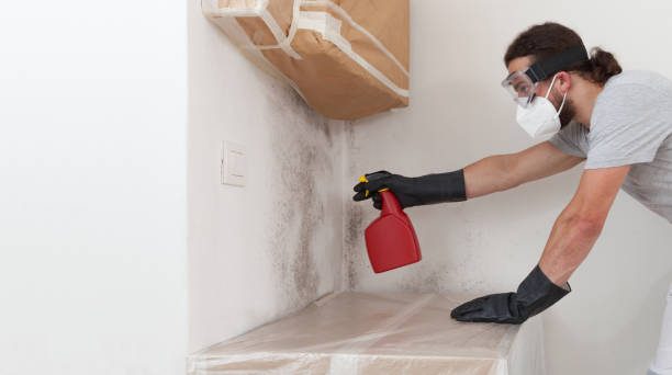 Professional Crawl Space Mold Removal technician working in Mendota, MN